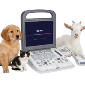BMV BPU30 Vet Diagnosis Ultrasound System